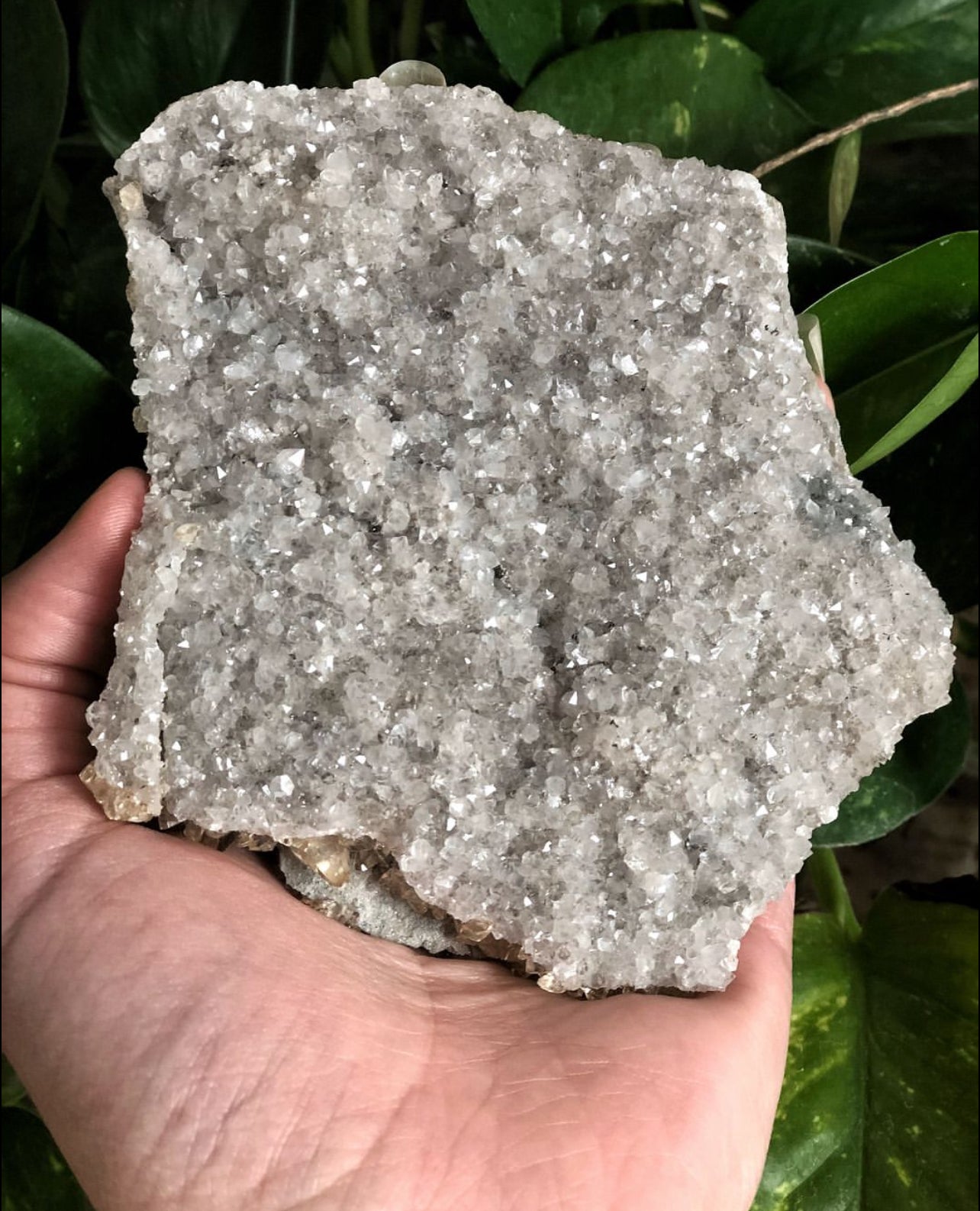 Elmwood Honey Calcite on Druzy Clear Quartz