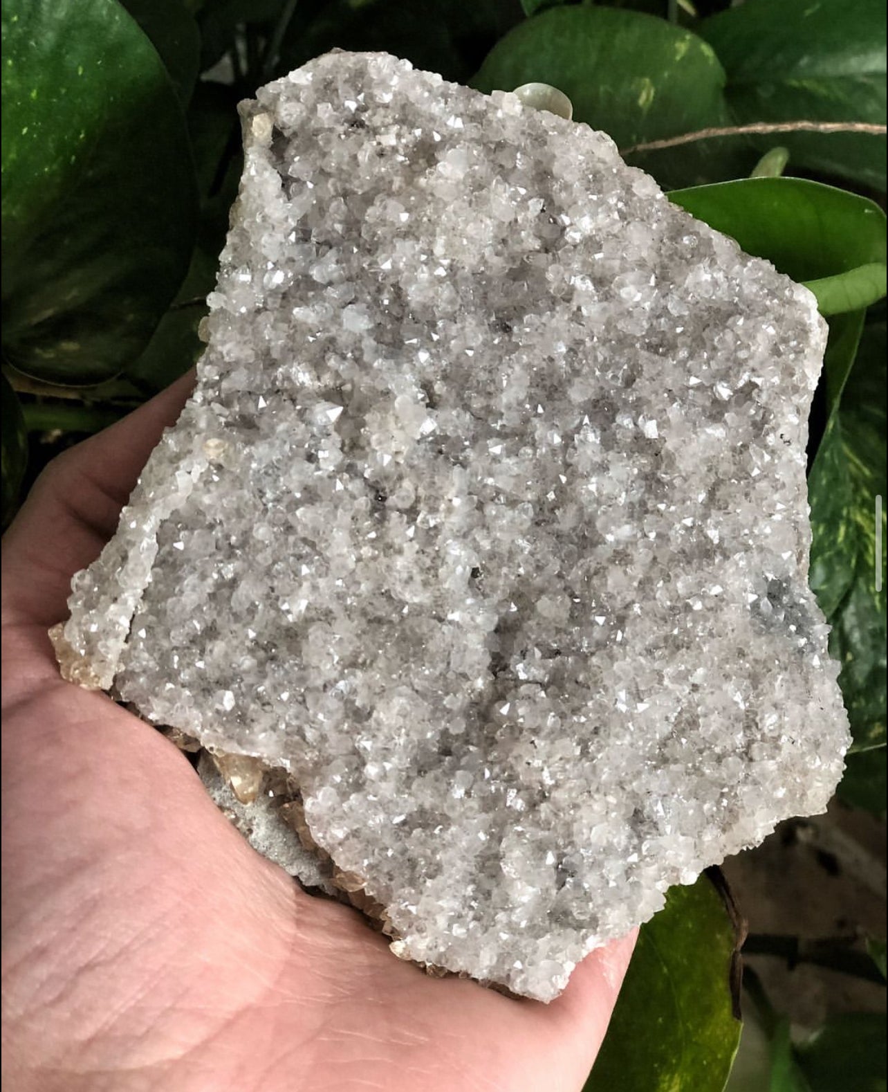Elmwood Honey Calcite on Druzy Clear Quartz